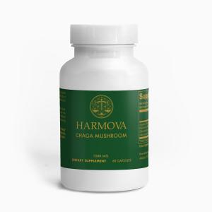 Chaga Mushroom 1