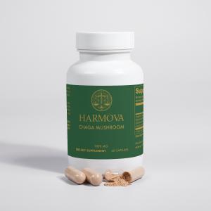 Chaga Mushroom 3