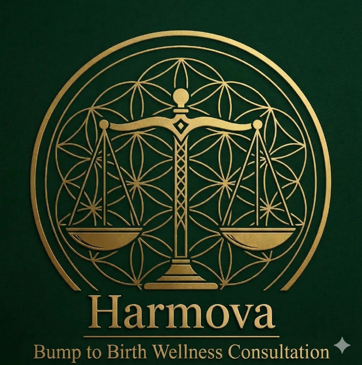 Harmova Bump to Birth Wellness Consultation