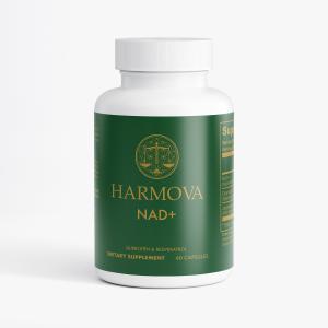NAD+ 1