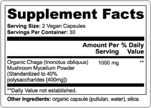 Chaga Mushroom 5